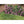 Suncast Quick Edge 35 Inch Single Strip Resin Lawn Edging, Flagstone (8 Pack)