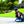 Razor High Torque Motorized Drifting Crazy Cart with Drift Bar for Adults, Blue