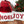 Noel Christmas Throw Pillow with Insert