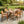 7 Pieces Acacia Wood Outdoor Dining Set