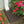 Suncast Outdoor Decorative Rain Gutter Downspout Splash Block, Java (2 Pack)