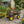 Steel Garden Cart, Heavy Duty 1400 lbs Capacity