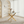 Rectangular Glass Dining Table with Gold-Plated Legs