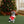 Christmas Boston Terrier Statue, Holiday Dog Figurine in Santa Outfit