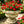 MGO Garden Planter