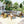 4 Pieces Outdoor Acacia Wood Sofa Set with Coffee Table