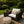 2 Pack Outdoor Lumbar Pillow Covers