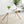 Modern Minimalist Style Dining Table
