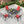 5-Piece Outdoor Patio Dining Set