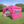 10x10ft Outdoor Pop Up Gazebo Canopy Tent