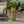 Glacier Cast Stone Urn Planter