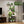9 Tiered Indoor Plant Stand With 5 Adjustable Grow Lights