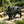 Simulated Wild Boar Resin Garden Statue