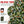 6FT Christmas Tree with 350 Warm Lights
