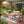 4-Pieces Outdoor Sofa Set with Cushions - Teak