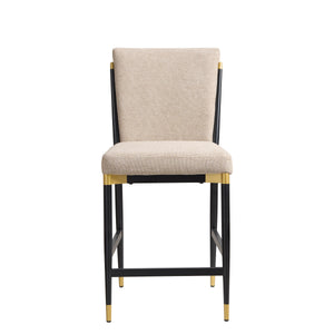 Modern Armless Counter Stool - Set of 2
