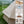 4 Season Bell Tent 9.8 FT Beige Waterproof Glamping Yurt Tent