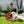 Labrador Puppy Solar Planter Garden Statue