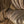 M-Tac Gloves Assault Tactical Mk.4 - TRAPSKI