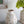 6.7x6.7x7.7' Round Ceramic Accent Vase with Multi-Colored Floral Motifs
