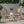 French Bistro Chair Set of 2