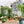 Metal Garden Arch