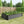 Raised Garden Bed Outdoor 6×3×1 ft Metal Raised Rectangle Planter Bed