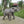 20'' Tall Resin Elephant Statue with Raised Trunk