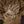 M-Tac Gloves Assault Tactical Mk.4 - TRAPSKI
