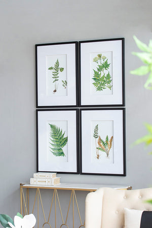 Botanical And Fern Wall Art, Wall Decor For Living Room Dining Room Entryway (Set of 4) - White / Black