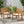 Della Wood Armchair Set of 2 Outdoor Dining Chairs - Cream