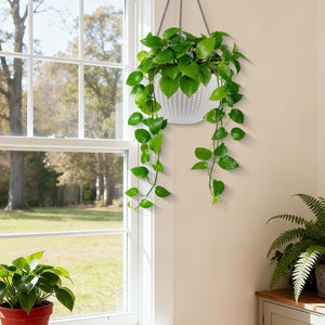 Self Watering Hanging Planter