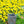 9.4x9.4x18.1' Cement Planter Large, Indoor Outdoor Garden Functional Decor