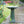 Ceramic Pedestal Bird Bath for Outdoor Garden