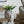 Cement Bust Wall Planter Indoor Outdoor Home Garden Decor, 8 - Gray