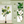 7FT Artificial Fiddle Leaf Fig Tree, Realistic Faux Potted Plant