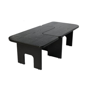 Modern Coffee Table Set