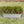 Metal Raised Garden Bed 4x2x1 ft