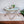 Valora Glass Coffee Table