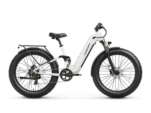Boxer ST Ebike