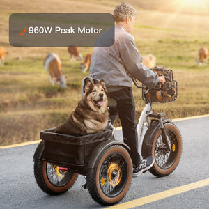 Alaskan Etrike