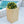 Modern Outdoor Planter
