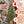 8FT Christmas Tree with 600 Warm Lights