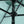 14.8 Ft Double Sided Outdoor Umbrella Rectangular Large with Crank (Light Green)