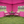 10x10ft Outdoor Pop Up Gazebo Canopy Tent
