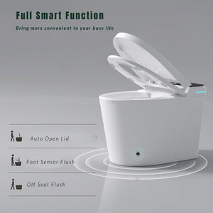 Modern Smart Toilet with Bidet Seat Built-In