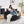 55'' Chenille Foam Single Swivel Chair