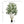 Artificial Olive Tree Large With Trunk, Indoor / Outdoor Decorative Plant For Living Room - Green