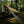 Damascus Fishing Fillet Knife – 7