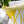 Leaf Vein Yellow Outdoor & Indoor Pillow